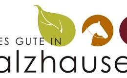 Logo Salzhausen